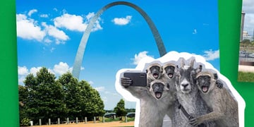 AI-generated image of monkeys and a goat in St. Louis
