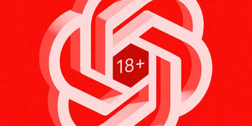 OpenAI logo saying +18