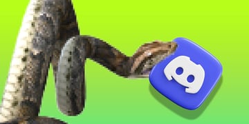 python-stealer-vvs
