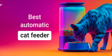 automatic cat feeder