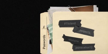 Epstein passwords