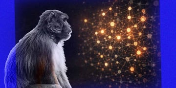 A monkey next to a glowing AI brain.