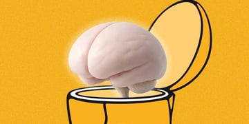 yellow brains