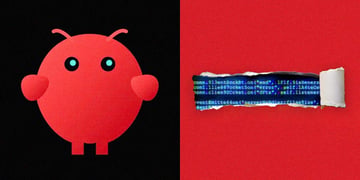 Divided screen, OpenClaw logo on one side and lines of code on another
