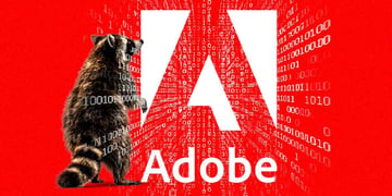 raccoon attacking Adobe