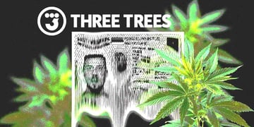 Three Trees