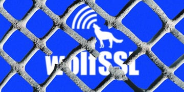 wolfSSL vulnerability