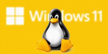 A Penguin from Linux logo on a yellow background, the Windows 11 logo behind it