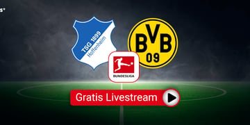 hoffenheim dortmund