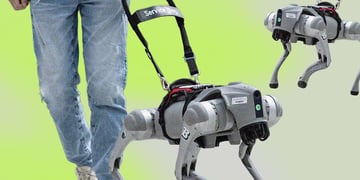 AI-powered robot guide dog