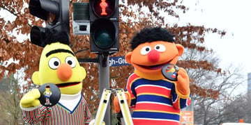 Ernie, Bert, black traffic light, red traffic light, yellow and orange muppet, black hair, brown tree