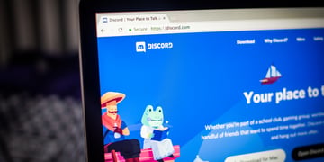 discord main page, blue screen on laptop desktop, black laptop, animated animal
