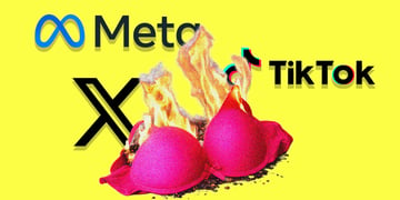 meta x tiktok bra