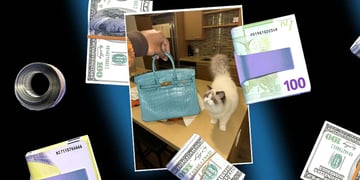 money cat arrest