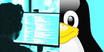 linux kernel bug grants root access