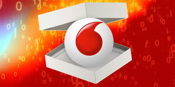 vodafone data dumped online