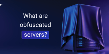 What are obfuscated servers?