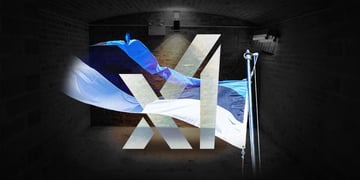 xAI logo, Estonian flag, basement