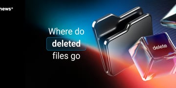 Where do deleted files go