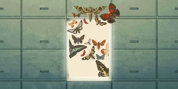 fable-data-collection