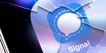 signal backup key