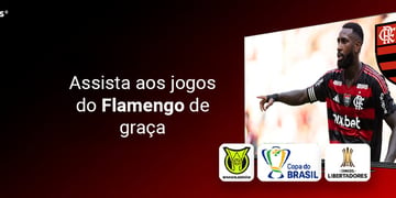 Flamengo ao vivo br