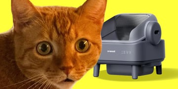 Lokis and OneIsAll litter box