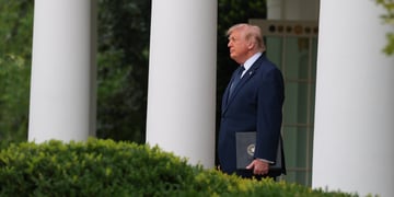 donald trump, dark suit, white collar shirt, profile, he stands in colonnade at the White House