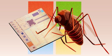 windows-11-bug