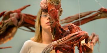 world body exhibit