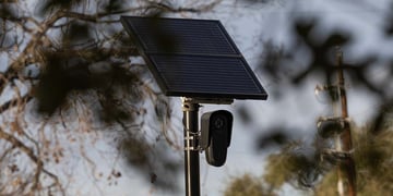 Flock's automated license plate reader (ALPR) camera behind tree branches