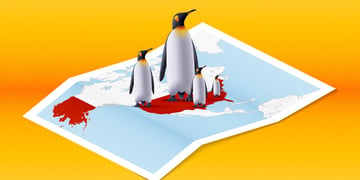 Four penguins on a map where the US is marked