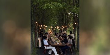 openai dinner