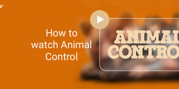 Animal Control