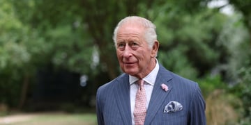 king_charles_trees_grey_suit