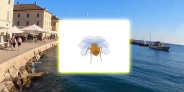 A fly in the background of AI generated Marina