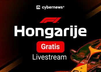 F1 Hungarian GP NL
