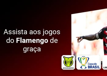 Flamengo ao vivo br