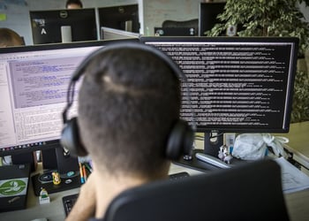 developer working computer bloomberg