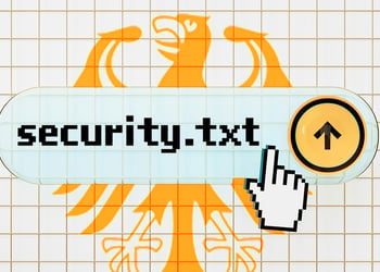 security txt file