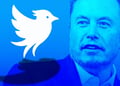 Twitter.now logo and Elon Musk in blue background